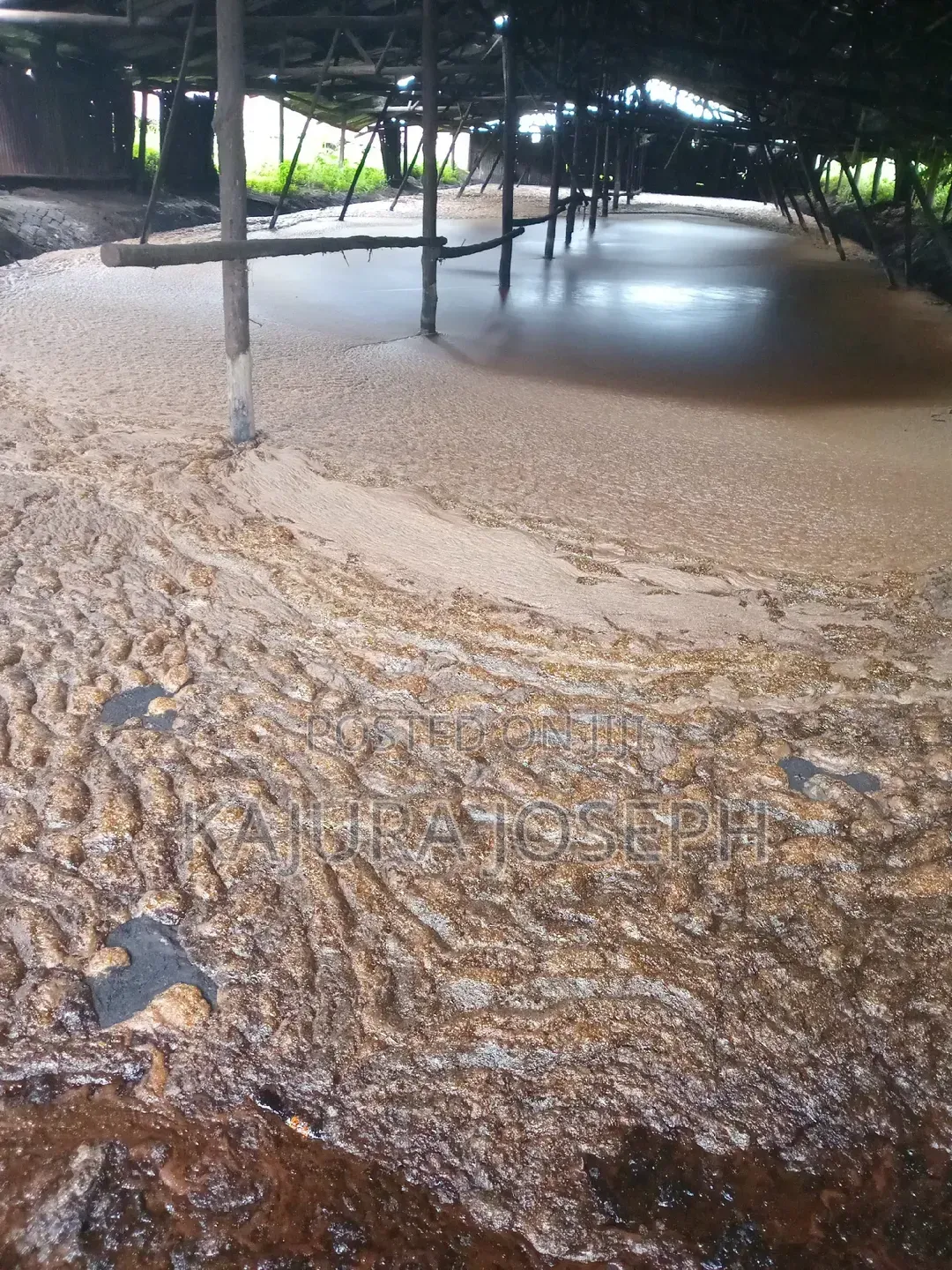 Molasses Sukali Gulu