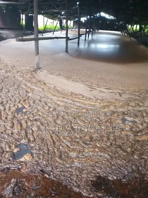 Molasses Sukali Gulu