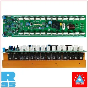 Salcon 2000w Mono Amplifier Board With Speaker Protection (DJ Series)