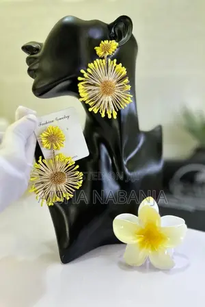 Jewelry Accessories