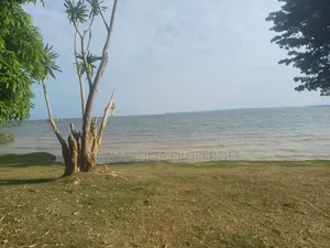 Very Beautiful Plot With Clear Lake View Forced Sale After Munyonyo
