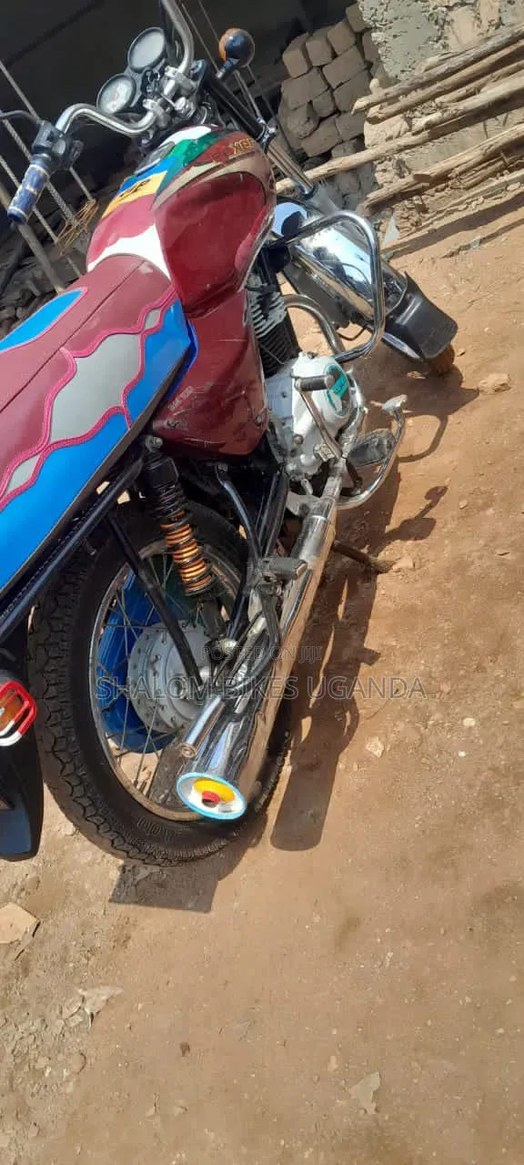Bajaj Boxer 100 2023 Red
