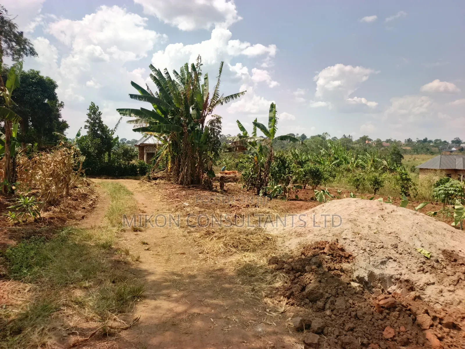 50 by 100 FTS Plot in Matuga Kavule
