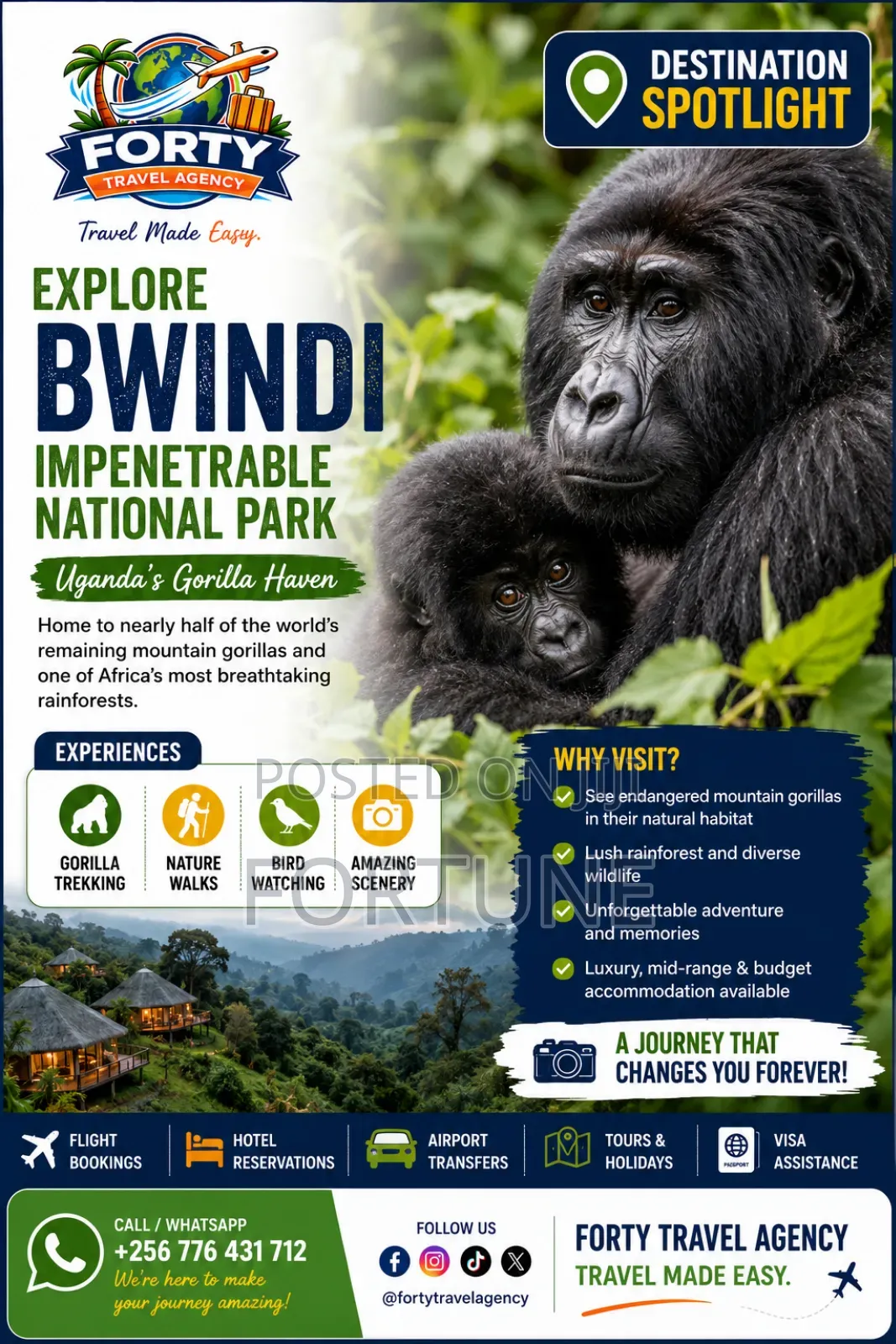 Gorilla Trekking in Bwindi