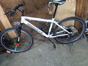 Japan Used Bike Size 26