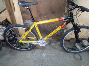 Gary Fisher Bike Brand From UK