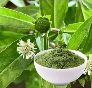 Bhringraj Powder Quarter
