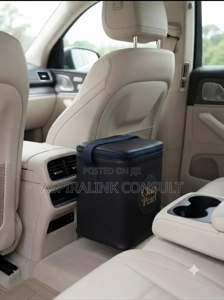 Keep Your Car Spotless With Clean Pearl Trash Kit