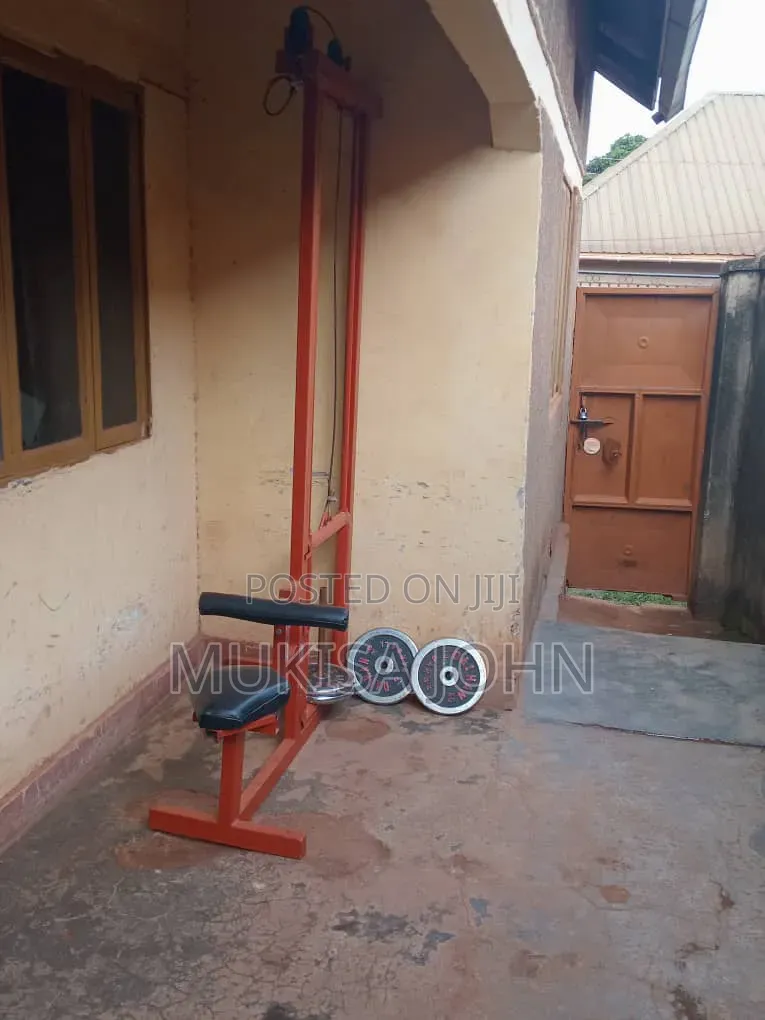 Chain Pull Up/ Weights Silver 35kg