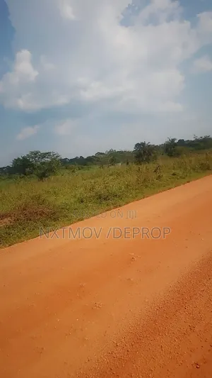 Livestock Land for Sale