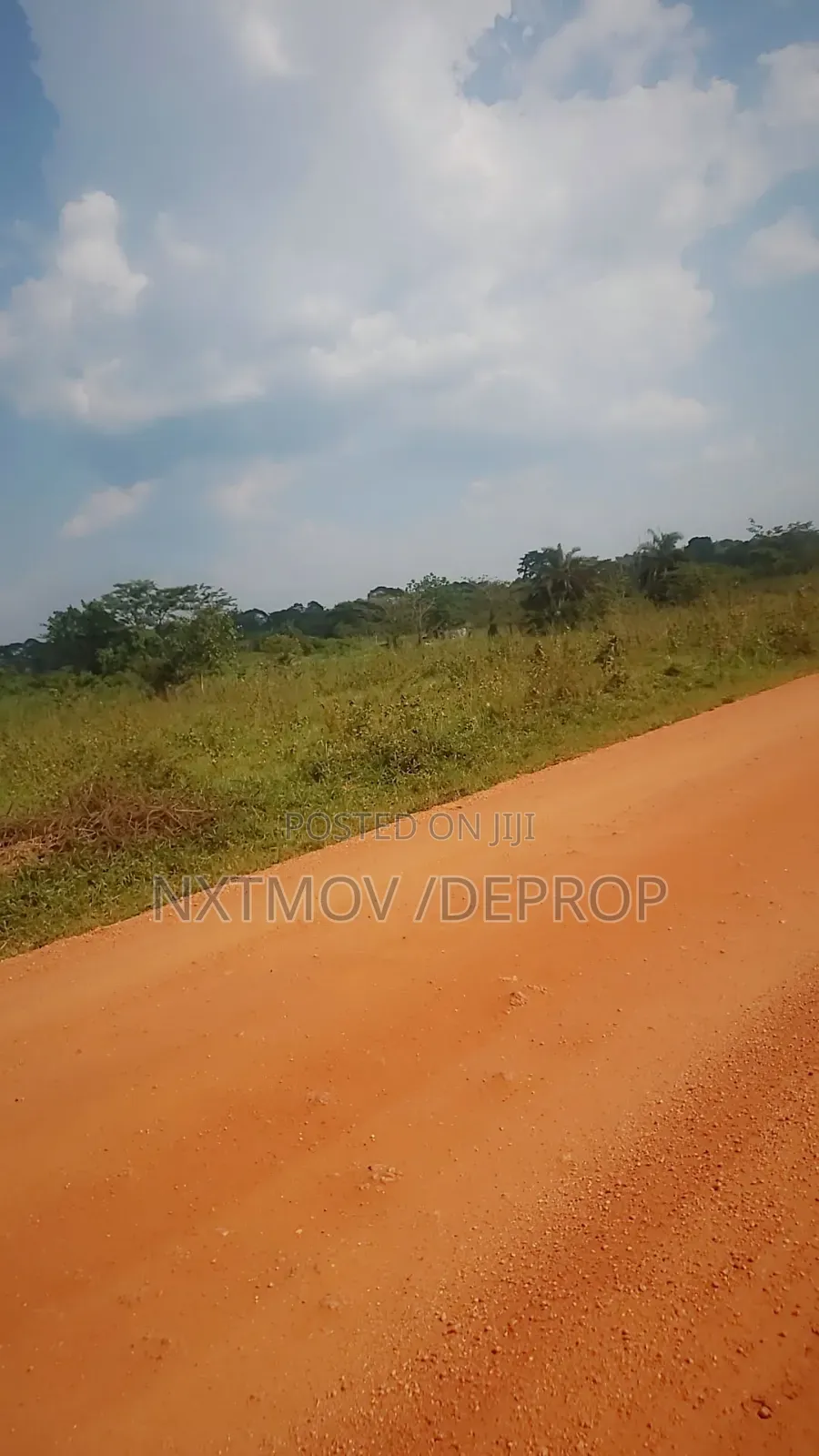 Livestock Land for Sale