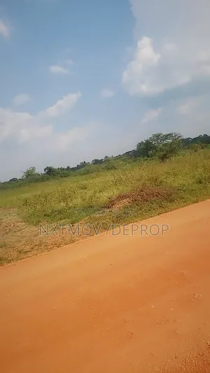 Livestock Land for Sale