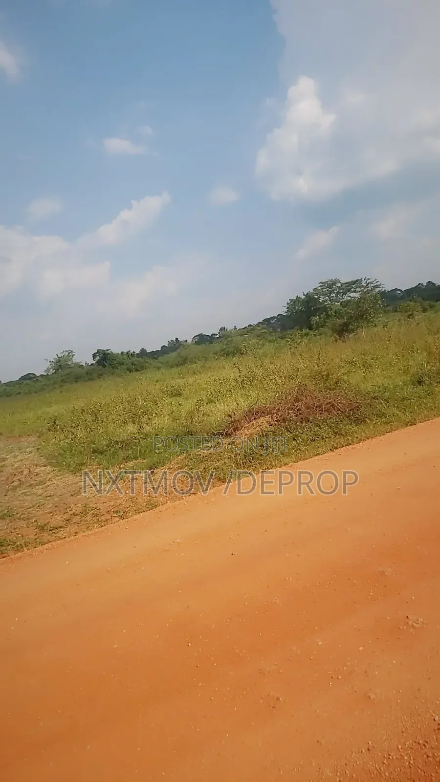 Livestock Land for Sale