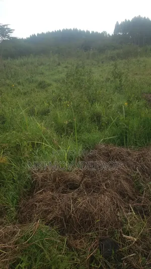 Livestock Land for Sale