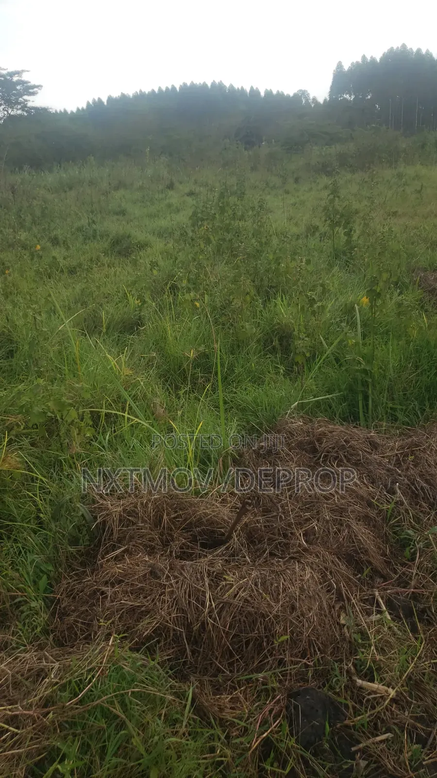 Livestock Land for Sale