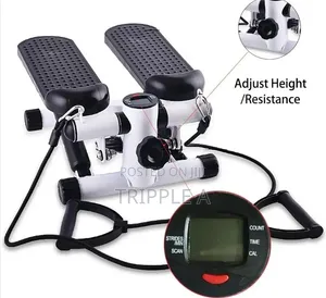 2 in 1 Stepper With Power Ropes