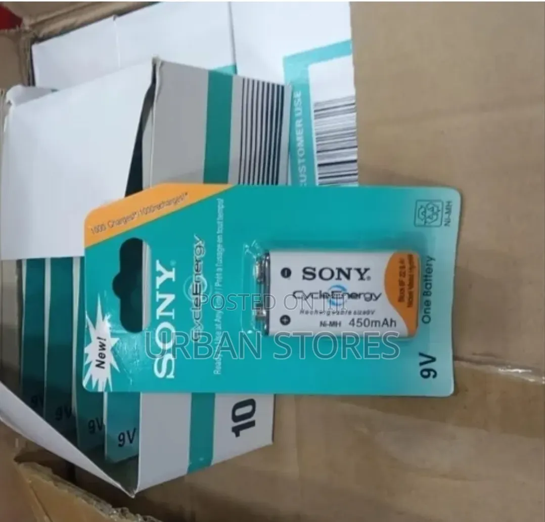 Sony Cycle Energy 9V Rechargeable Battery 450mah