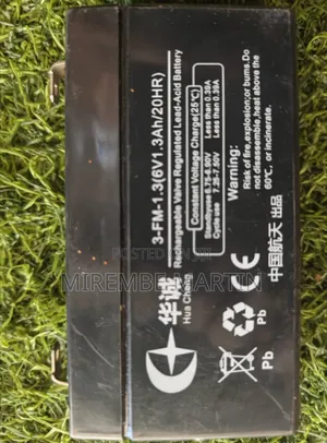 Hua Cheng 3-Fm-1.3 Rechargeable Valve