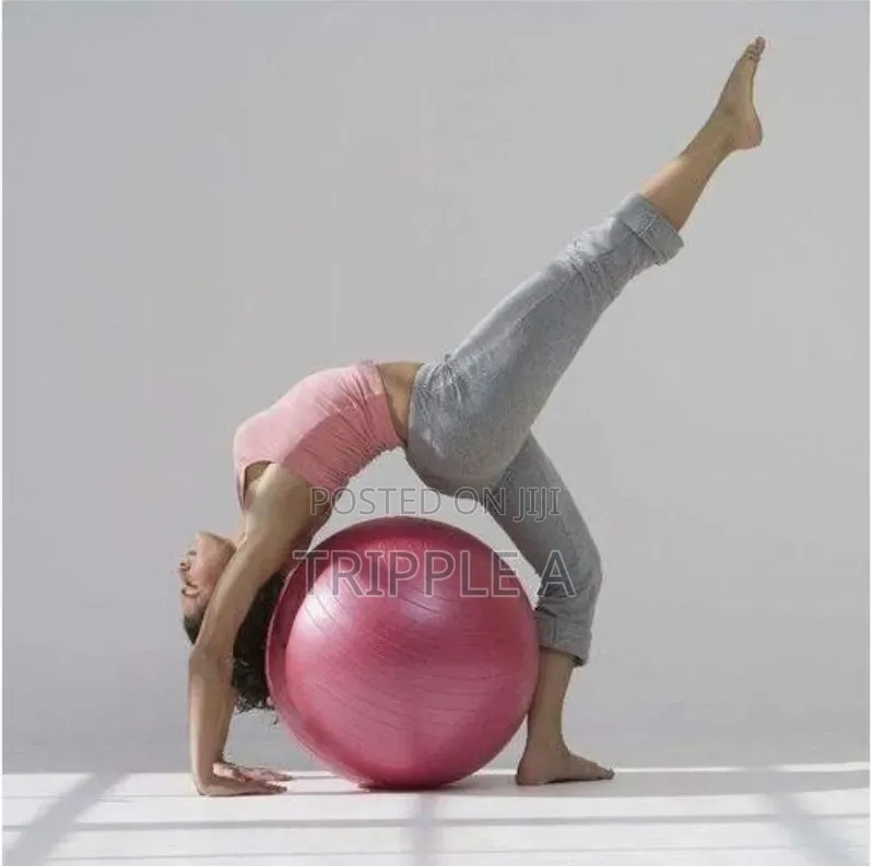 Sturdyfoot Exercise Ball Gym Ball