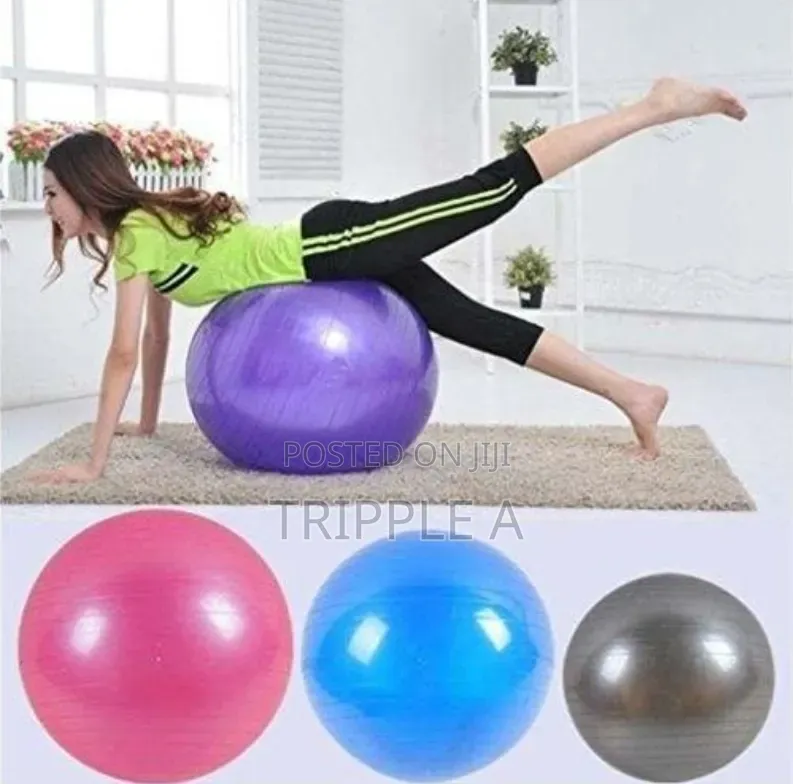 Sturdyfoot Exercise Ball Gym Ball