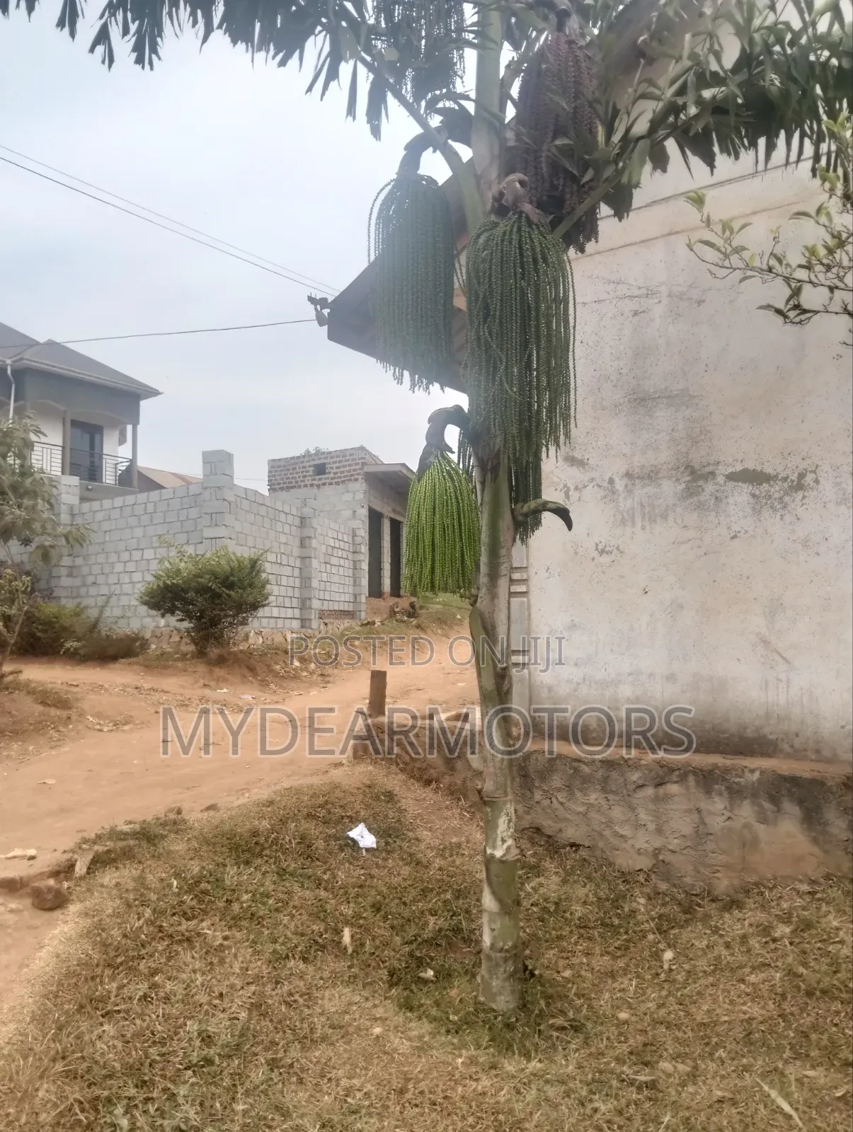 6bdrm House in Rubaga for sale
