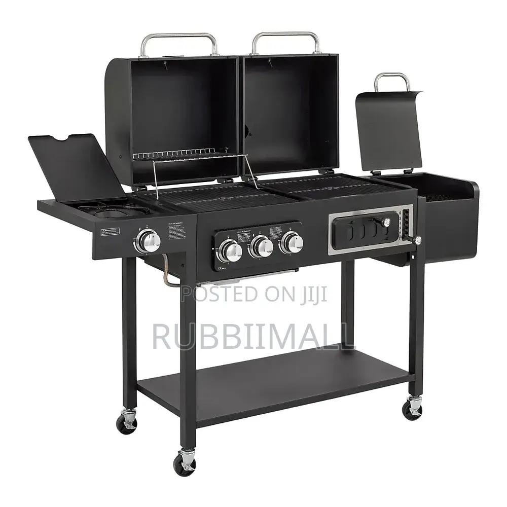 Dual BBQ Grill (LPG and Charcoal)