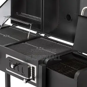Dual BBQ Grill (LPG and Charcoal)
