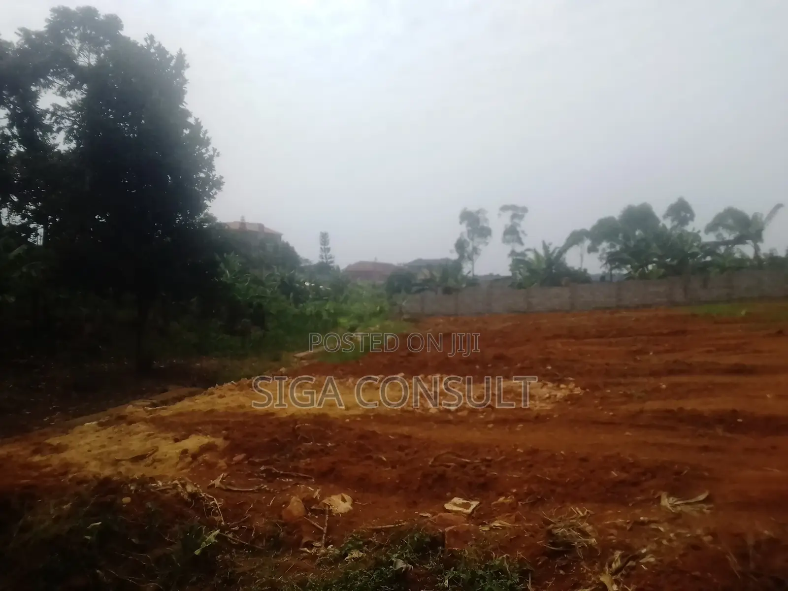 50 Decimal of Residential Titled Land on Sale in Nsawo, Namugongo