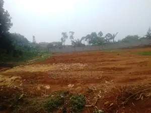 50 Decimal of Residential Titled Land on Sale in Nsawo, Namugongo
