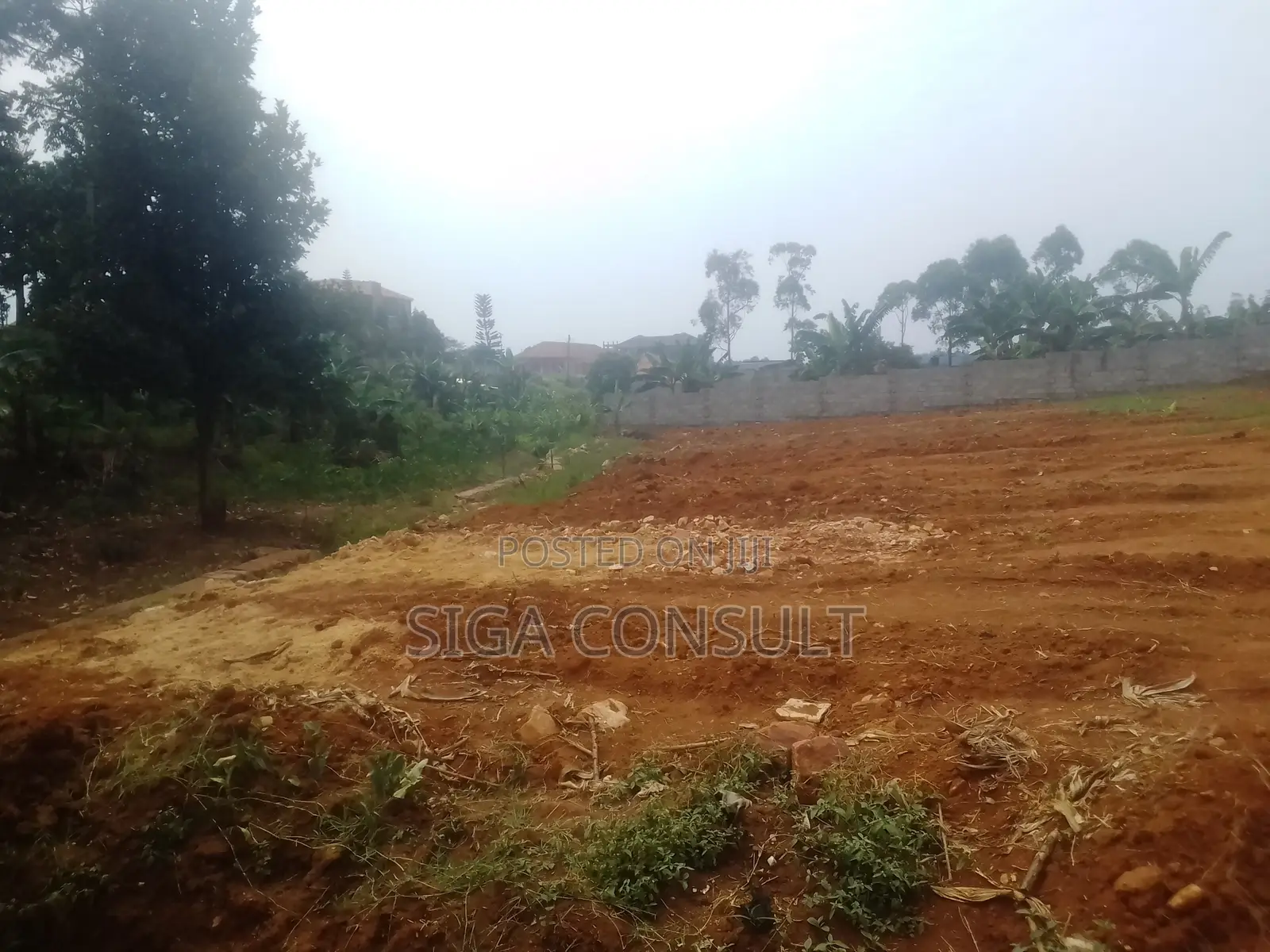 50 Decimal of Residential Titled Land on Sale in Nsawo, Namugongo