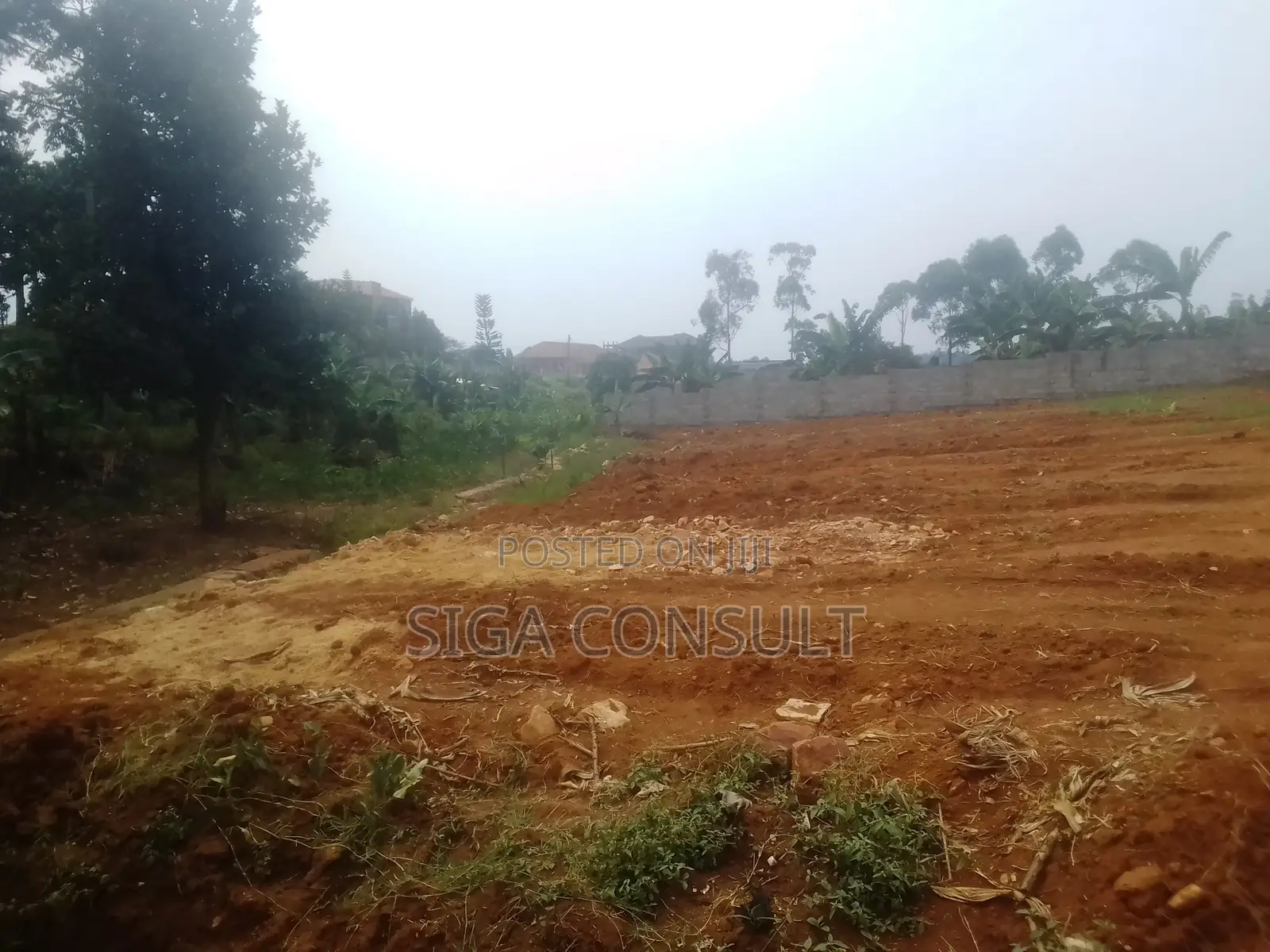 50 Decimal of Residential Titled Land on Sale in Nsawo, Namugongo