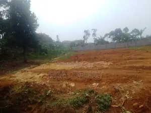 50 Decimal of Residential Titled Land on Sale in Nsawo, Namugongo