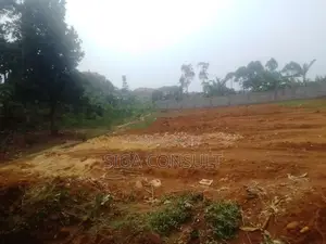 50 Decimal of Residential Titled Land on Sale in Nsawo, Namugongo