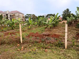 Entebbe Ozana Estate Kabaale
