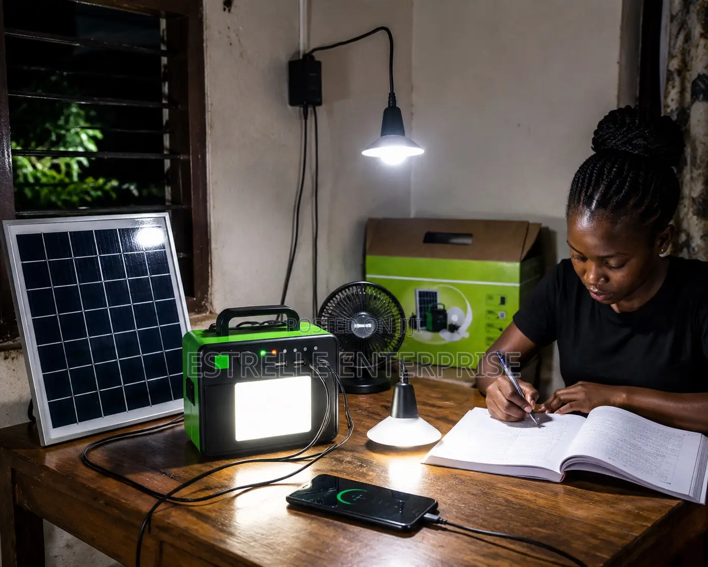 Portable Lighting Kit With 2 Bulbs, Phone Charging and Panel