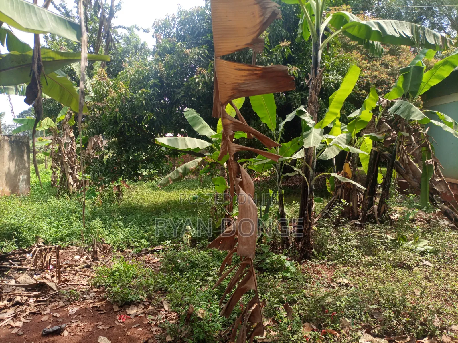 3bdrm House in Wakiso / Wakiso for sale