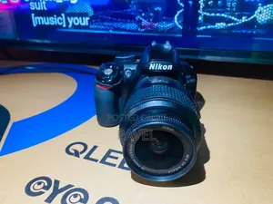 Nikon D3100