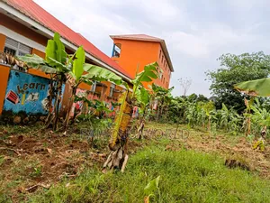 Entebbe Kabaale 100ft by 50fts on Sale Next to Grace Primary School
