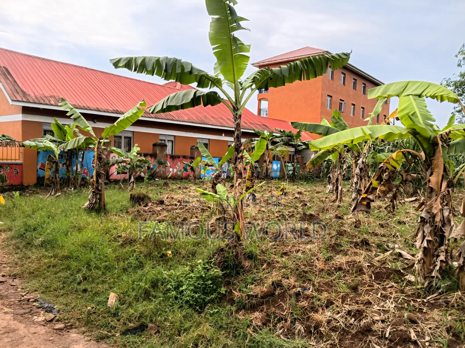 Entebbe Kabaale 100ft by 50fts on Sale Next to Grace Primary School