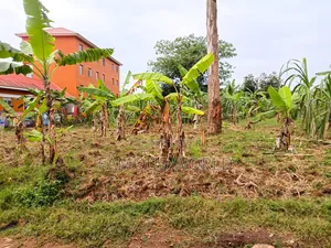 Entebbe Kabaale 100ft by 50fts on Sale Next to Grace Primary School
