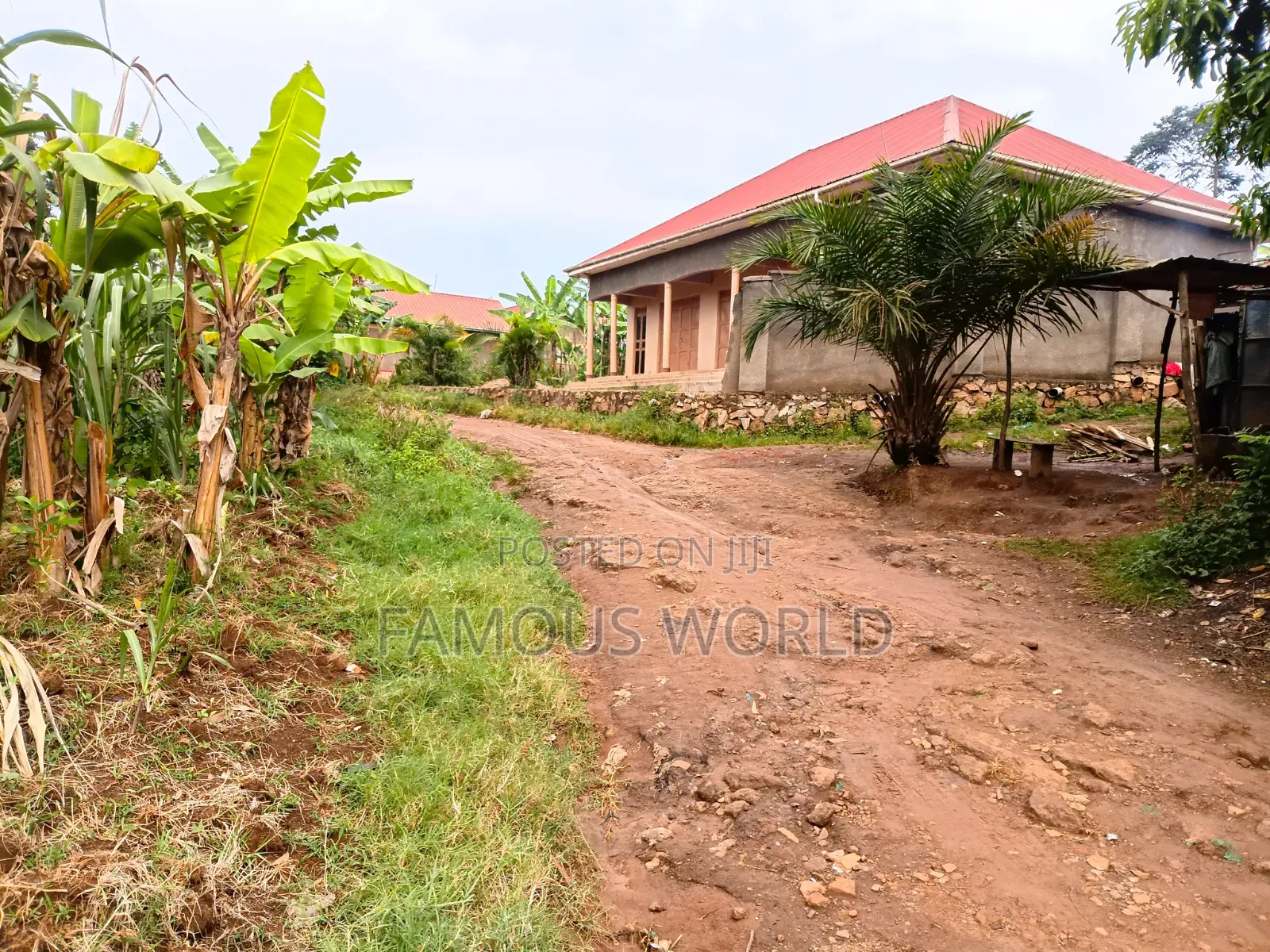 Entebbe Kabaale 100ft by 50fts on Sale Next to Grace Primary School
