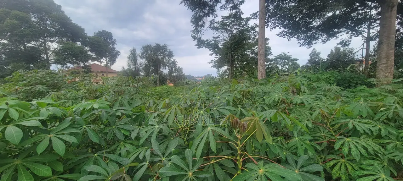 Plot of Land at Namugongo Near Anglican Shrine 12 Decimals