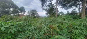 Plot of Land at Namugongo Near Anglican Shrine 12 Decimals