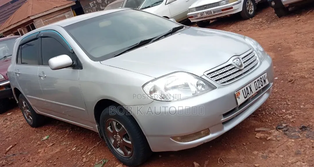 Toyota Allex 2005 Silver