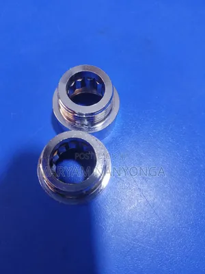 Chrome Nipple