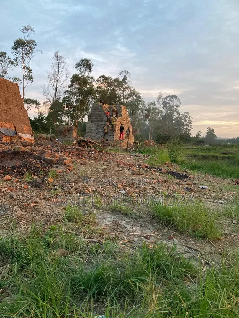 Clay Bricks