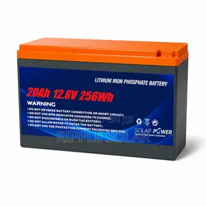 20Ah LiFePO4 Lithium Battery 256Wh Solar Backup Battery 12V