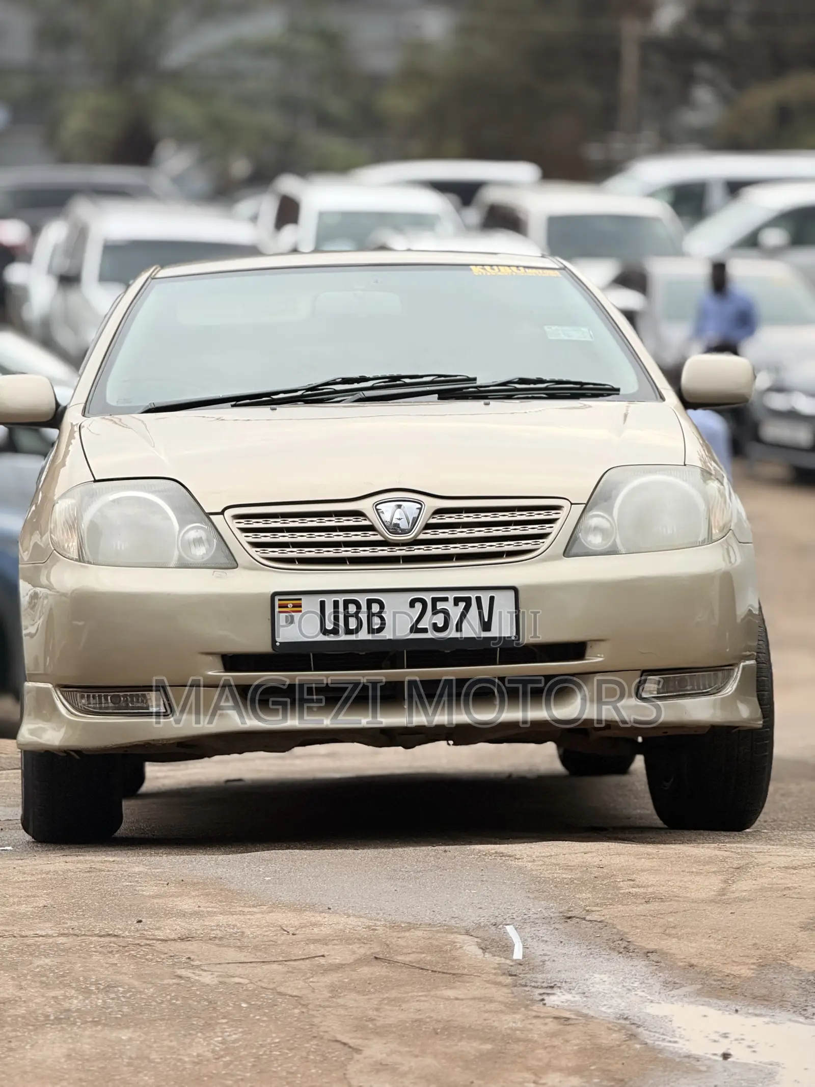 Toyota Allex 2006 Gold