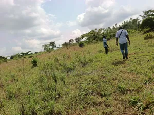 14 Acres in Kikyusa Luwero District at Only 10m Per Acre.