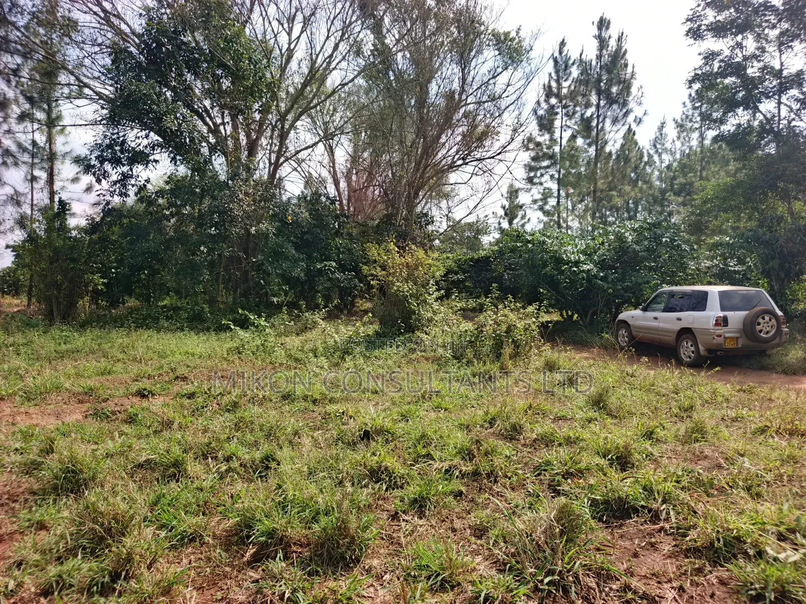 14 Acres in Kikyusa Luwero District at Only 10m Per Acre.